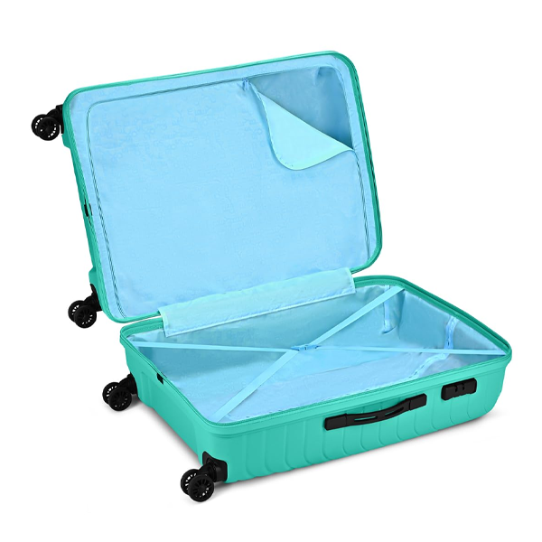 Large Size (Check-in) Hard Case Trolley Bag